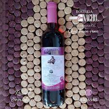 VINO BODEGA DON NACHO /QUITA CALZÓN 700ml